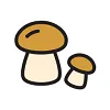 Грибы