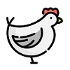 Курица